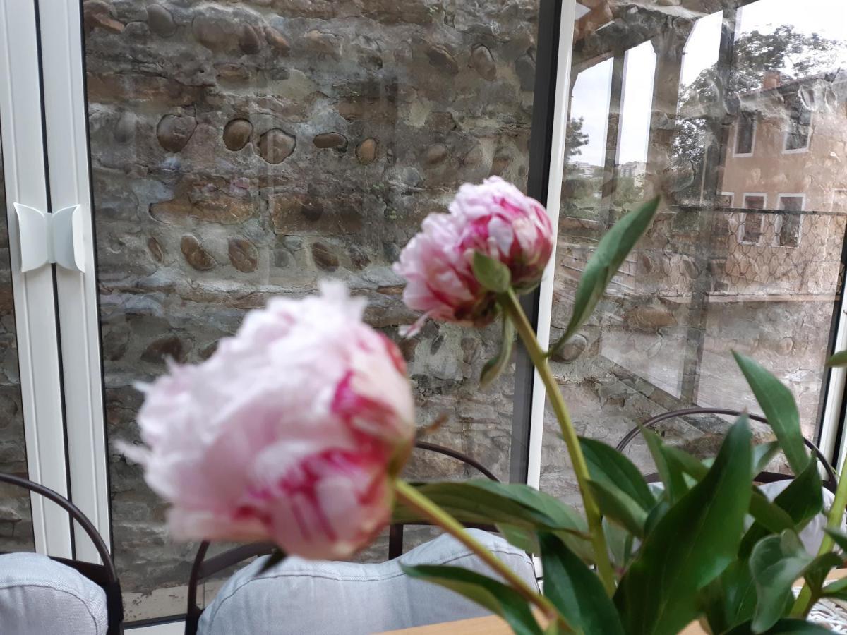 B&B J'Irais Dormir A Lyon Dış mekan fotoğraf